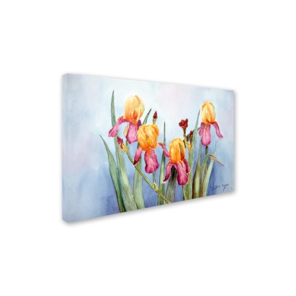 Arie Reinhardt Taylor 'Irises Four' Canvas Art,30x47